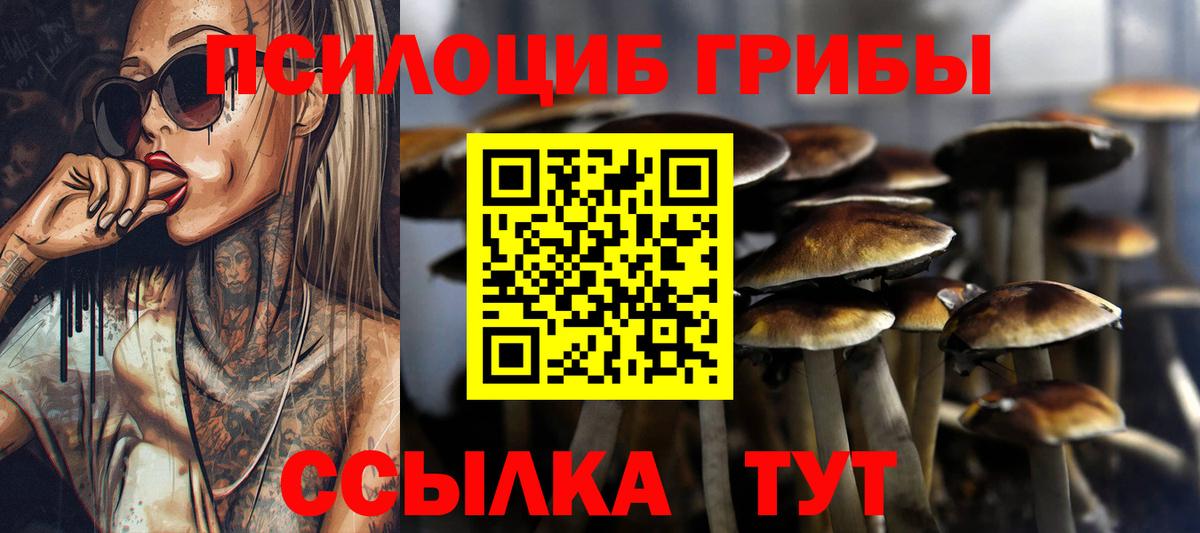 Галлюциногенные грибы прущие грибы  Вход с VPN  Орехово-Зуево 
